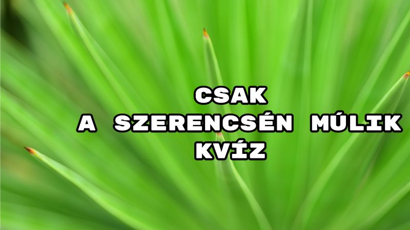 Csak a szerencsén múlik kvíz – ma sem hagyunk kérdések nélkül, vállalod?