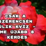 Csak a szerencsén múlik kvíz – íme újabb 8 kérdés