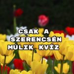 Csak a szerencsén múlik kvíz – megy a 8 helyes válasz?