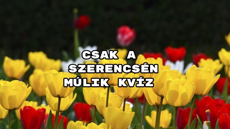 Csak a szerencsén múlik kvíz – megy a 8 helyes válasz?