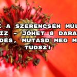 Csak a szerencsén múlik kvíz – jöhet 8 darab kérdés, mutasd meg mit tudsz!