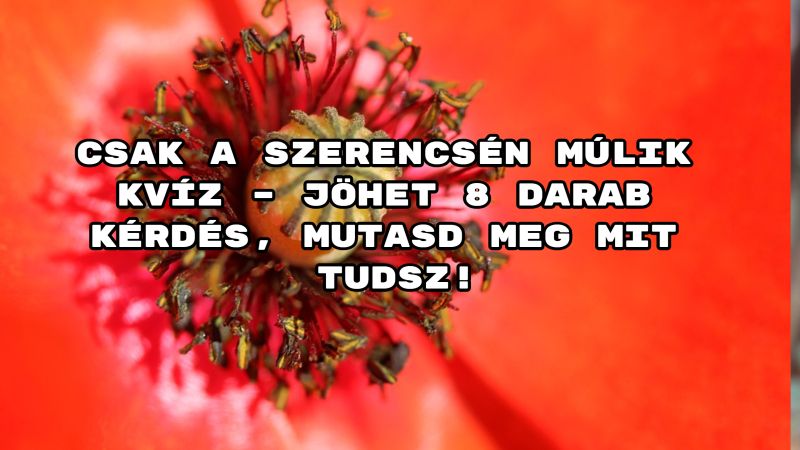 Csak a szerencsén múlik kvíz – jöhet 8 darab kérdés, mutasd meg mit tudsz!