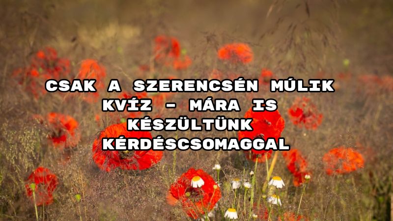 Csak a szerencsén múlik kvíz – Mára is készültünk kérdéscsomaggal