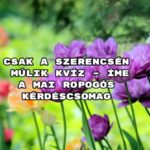 Sok sikert kívánunk! Induljon a kvíz.