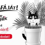 Félix nyereményjáték - nyerj kalandos utazást