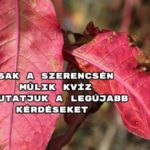 Csak a szerencsén múlik kvíz – Mutatjuk a legújabb kérdéseket